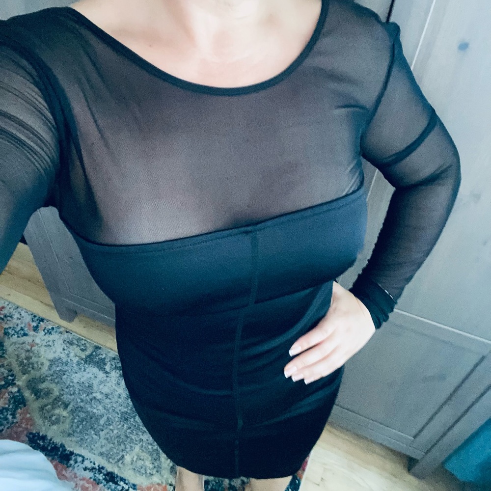 Zara sheer top dress